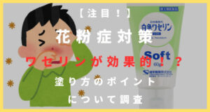 花粉症ワセリン